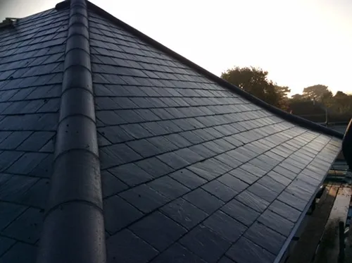 Slate roof hip caught in low golden sun, trees silhouetted beyond